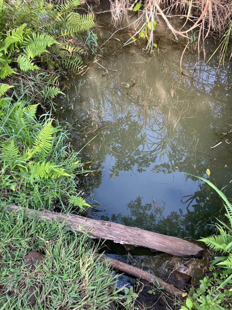 water